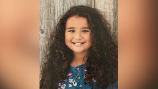 9-Year-Old Missing After Mother’s Cross-Country Trip — Live